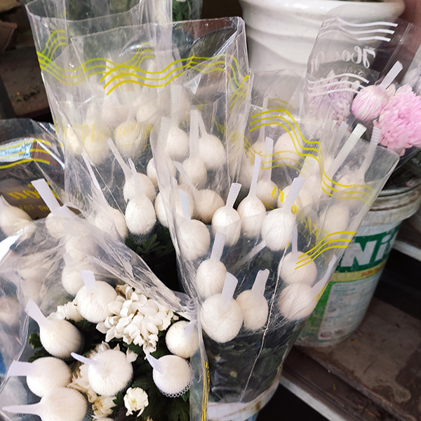 Hoa cúc lưới (trắng)